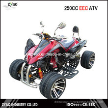 Kawasaki 250cc EEC Quad / Racing ATV avec moteur allumé en alliage de roue en alliage de 14 pouces